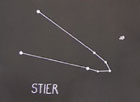 Das Sternbild Stier Das Sternbild Stier